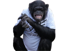 https://image.noelshack.com/minis/2017/25/2/1497955757-sticker-mowgli.png