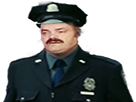 https://image.noelshack.com/fichiers/2017/25/3/1498070092-risitas-police.png