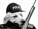 https://image.noelshack.com/fichiers/2017/25/5/1498221444-1493236634-1474488574-jesus50chien.jpg