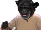 https://image.noelshack.com/minis/2017/26/1/1498436158-1.png