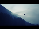 https://www.noelshack.com/2017-26-1-1498507573-nature-mountain-eagle-fog-landscape-ultrahd-4k-wallpaper-3840x2160.jpg