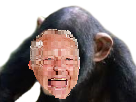 https://image.noelshack.com/fichiers/2017/26/2/1498579789-aulasinge.png