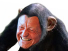 https://image.noelshack.com/fichiers/2017/26/2/1498581682-img-2125.png