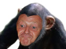 https://image.noelshack.com/fichiers/2017/26/2/1498581717-img-2126.png