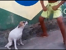 https://image.noelshack.com/minis/2017/26/2/1498598476-dancing-dog.png