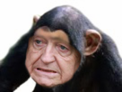 https://image.noelshack.com/fichiers/2017/26/2/1498600369-1498581749-img-2124.png