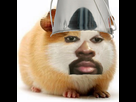 https://image.noelshack.com/fichiers/2017/26/4/1498752301-dameseauhamster.png