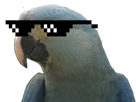 https://image.noelshack.com/fichiers/2017/26/4/1498752720-image.png