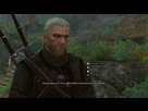 https://www.noelshack.com/2017-26-6-1498911101-witcher3-2017-07-01-13-35-26-80.png