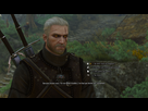 https://www.noelshack.com/2017-26-6-1498911121-witcher3-2017-07-01-02-03-29-78.png