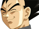 https://image.noelshack.com/fichiers/2017/26/7/1498958453-vegeta.png