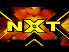 https://image.noelshack.com/fichiers/2017/27/2/1499170810-wwe-nxt-logo-20171.jpg