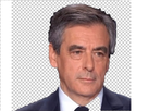 https://image.noelshack.com/fichiers/2017/27/2/1499185886-sarcastic-fillon3.jpg