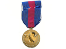 https://www.noelshack.com/2017-27-3-1499255595-medaille-reserve.png