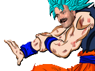 https://image.noelshack.com/fichiers/2017/27/4/1499335888-risitas-goku-hakai-dbs.png