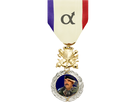 https://image.noelshack.com/fichiers/2017/27/4/1499349742-medaille-alpha-officielle.png