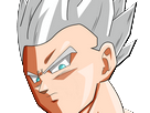 https://image.noelshack.com/fichiers/2017/27/5/1499418815-gohan-ultime-god.png