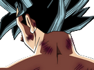 https://image.noelshack.com/fichiers/2017/27/5/1499437246-goku-new-dbs.png