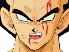 https://image.noelshack.com/fichiers/2017/27/6/1499525932-vegeta-en-sang.png