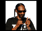 https://www.noelshack.com/2017-27-7-1499563177-1494591558-snoopdogg.png