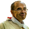 https://image.noelshack.com/minis/2017/27/7/1499594655-cardinalis-barbarinus.png
