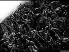 https://image.noelshack.com/fichiers/2017/28/1/1499637908-bea466e9c6fc89ae4107ec9cce25e29d0fb0c77ebb817632ea32cd45.jpg