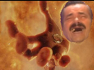 https://image.noelshack.com/fichiers/2017/28/7/1500157088-1485972432-vm4lgk24.png