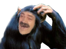 https://image.noelshack.com/fichiers/2017/29/1/1500245063-1498589632-ris85.png
