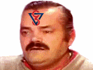 https://image.noelshack.com/minis/2017/29/1/1500322840-1480744720-risigaule.png