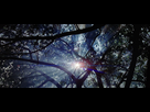 https://image.noelshack.com/fichiers/2017/29/2/1500369973-image-9-sun-through-trees-the-thin-red-line.jpg