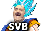https://image.noelshack.com/fichiers/2017/29/3/1500445504-risitas-bejito-ssj-blue-svb.png