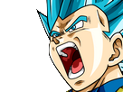 https://image.noelshack.com/minis/2017/29/3/1500446451-vegeta-ssjb.png