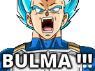 https://image.noelshack.com/minis/2017/29/3/1500446624-vegeta-bulma.png