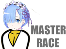 https://image.noelshack.com/minis/2017/29/4/1500546072-master-race-rem.png