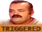 https://image.noelshack.com/fichiers/2017/29/4/1500577593-triggered.jpg