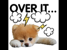 https://image.noelshack.com/fichiers/2017/29/5/1500667218-over-it.png