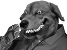 https://image.noelshack.com/minis/2017/30/2/1500957065-1479224355-risitas149-copie.png