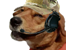 https://image.noelshack.com/fichiers/2017/30/2/1500958223-dogfacegamer.png