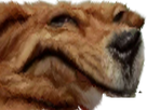 https://image.noelshack.com/minis/2017/30/2/1500960035-150095465562.png
