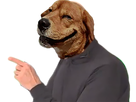 https://image.noelshack.com/fichiers/2017/30/2/1500971257-risidog-soral-2.png