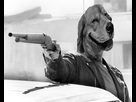 https://image.noelshack.com/minis/2017/30/2/1500973215-risidog-terminator.png