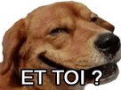 https://image.noelshack.com/minis/2017/30/2/1500973405-dogetoi.png