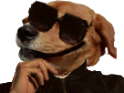 https://image.noelshack.com/minis/2017/30/2/1500975652-leshumainsonbaisevossoeurs.png