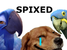 https://image.noelshack.com/minis/2017/30/2/1500976915-spixed.png