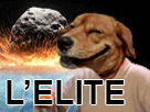 https://image.noelshack.com/fichiers/2017/30/2/1500985565-dogelite.jpg