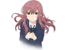 https://image.noelshack.com/minis/2017/30/3/1501104098-koe-no-katachi.png
