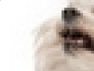https://image.noelshack.com/minis/2017/30/4/1501126205-25-9fhwv6j2.png