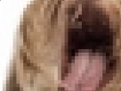 https://image.noelshack.com/minis/2017/30/4/1501126206-19-9fhwv6j2.png