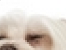 https://image.noelshack.com/minis/2017/30/4/1501126206-22-9fhwv6j2.png