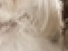 https://image.noelshack.com/minis/2017/30/4/1501126206-34-9fhwv6j2.png